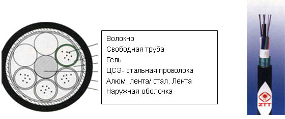 GYSTS/GYSTA