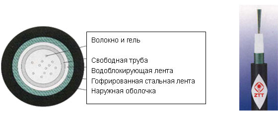 GYXTS