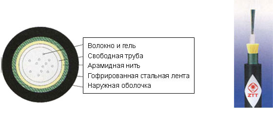 GYXTKS