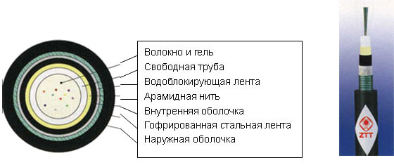 GYXTKY53