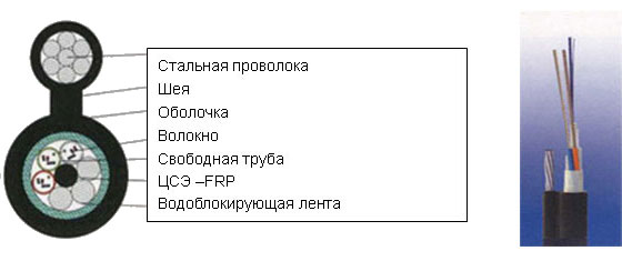 GYFSTC8Y