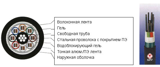 GYDXTA